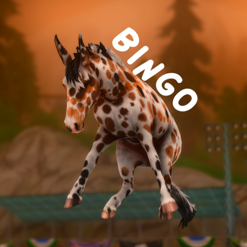 Bingo