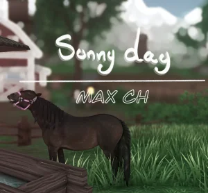 Sunny Day