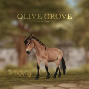 Olive Grove