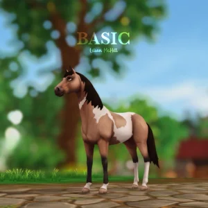 Basic