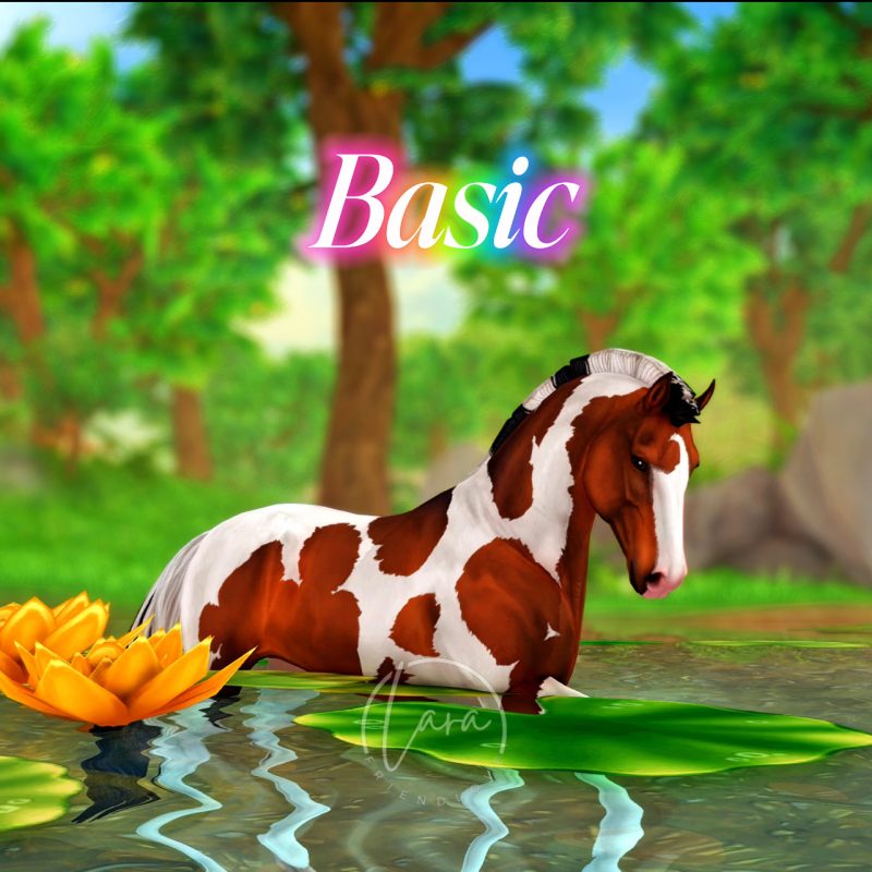 Basic