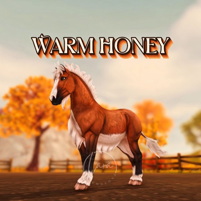 Warm Honey