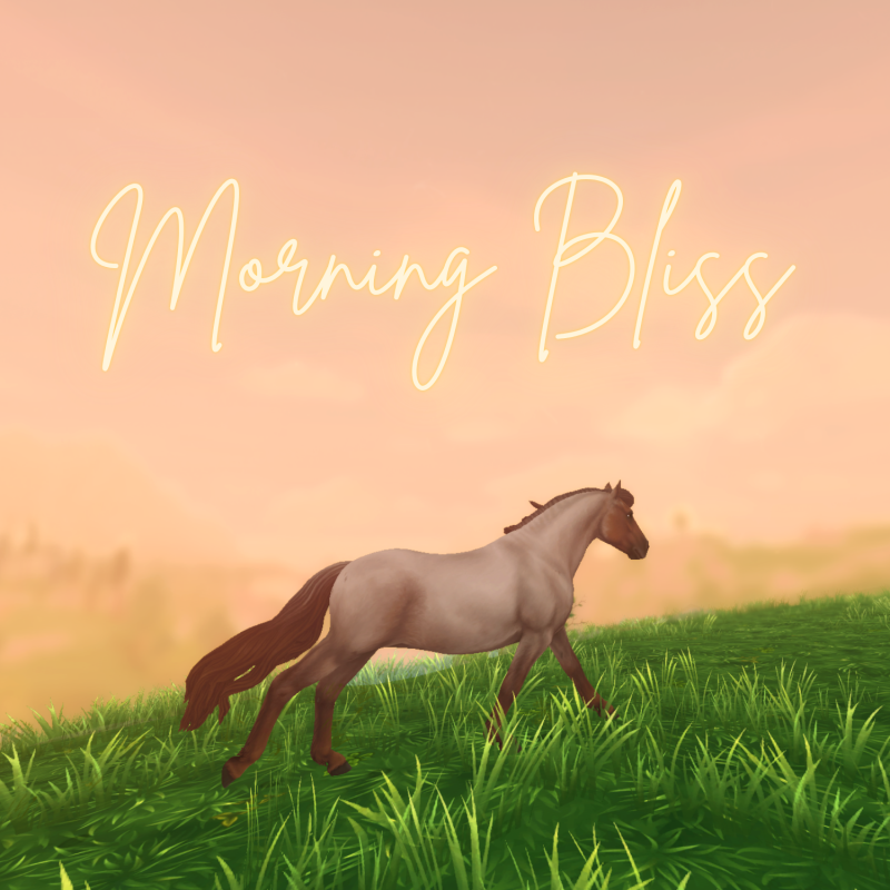 Morning Bliss