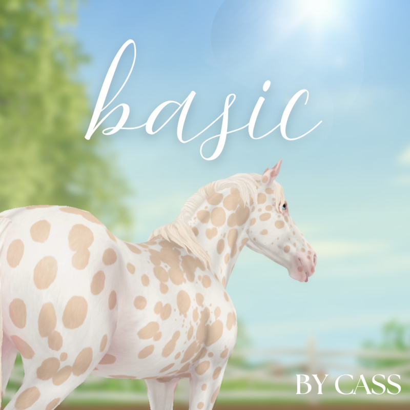 Basic – By cass