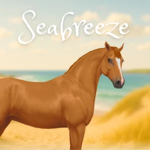 Seabreeze – By cass