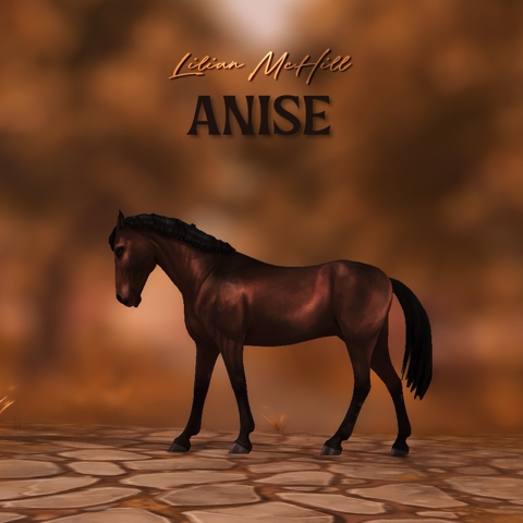 Anise