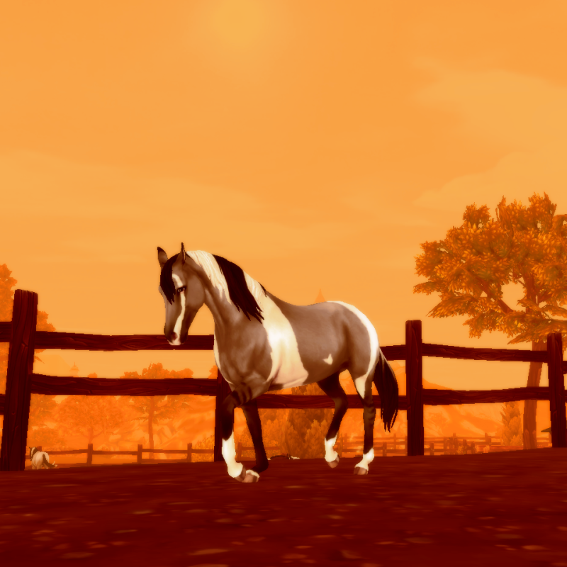 Western Sunset
