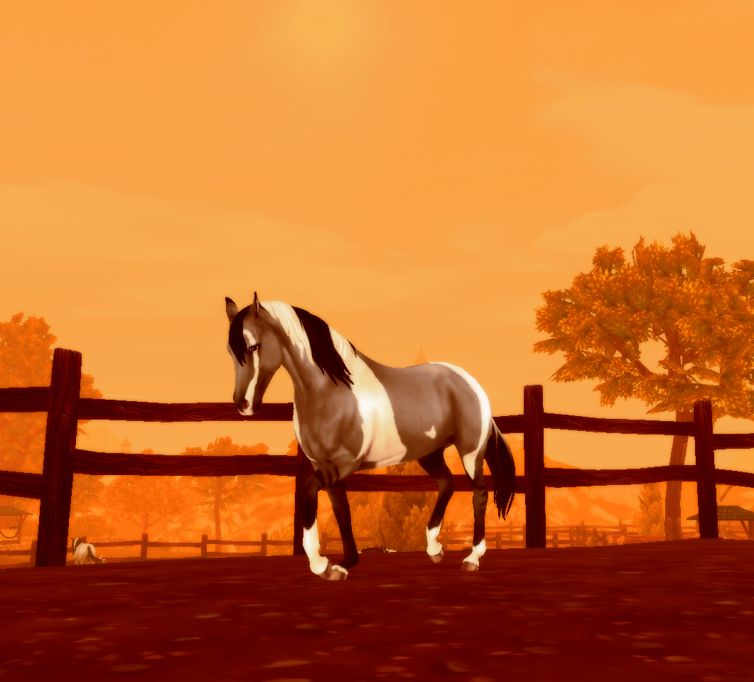 Western Sunset