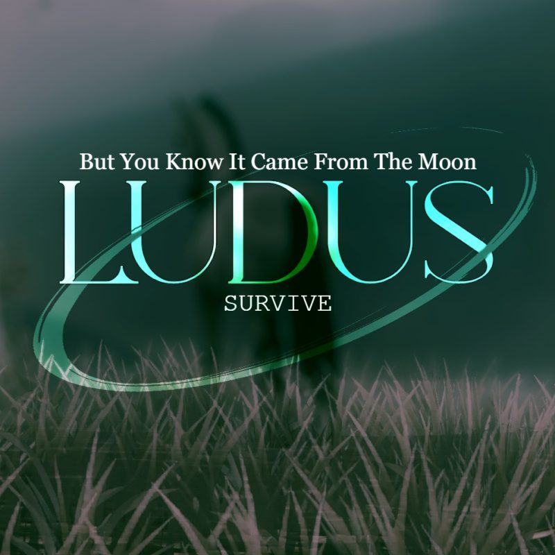 SHEDER-PACK: LUDUS-Survive (DAY)