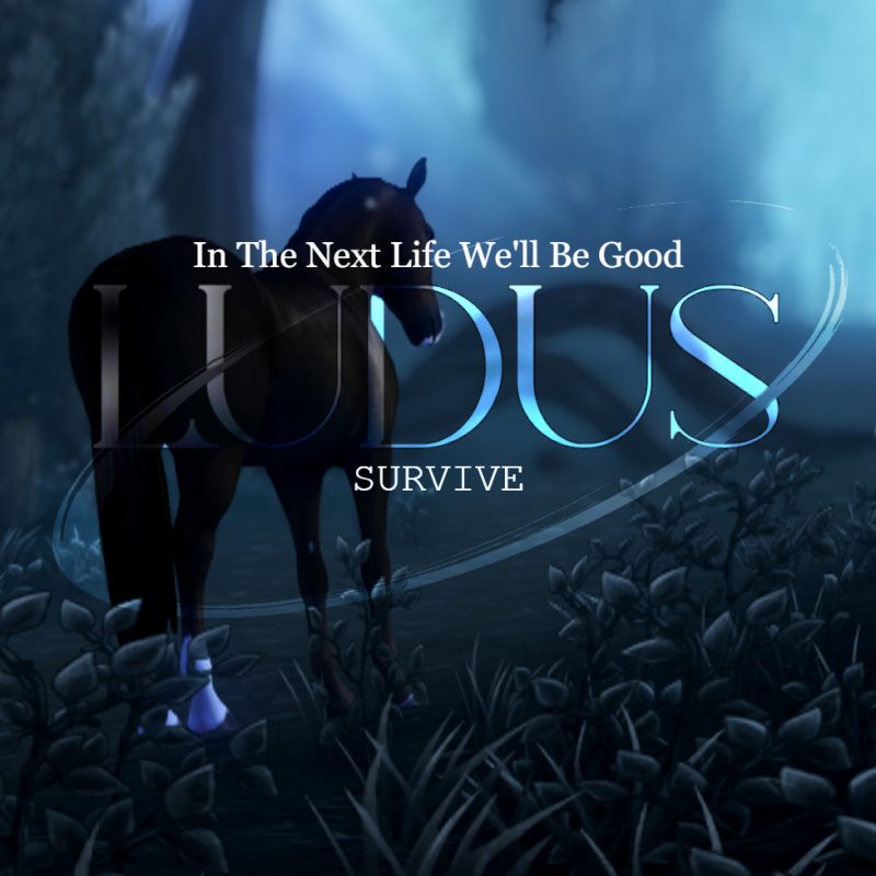 SHEDER-PACK: LUDUS-Survive (NIGHT)