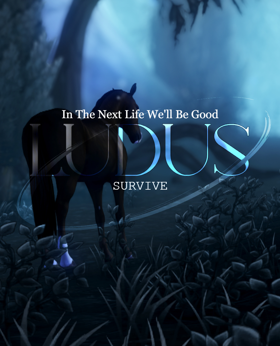 SHEDER-PACK: LUDUS-Survive (NIGHT)