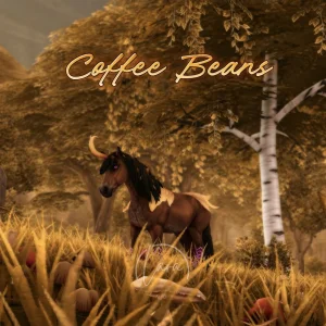Coffee Beans