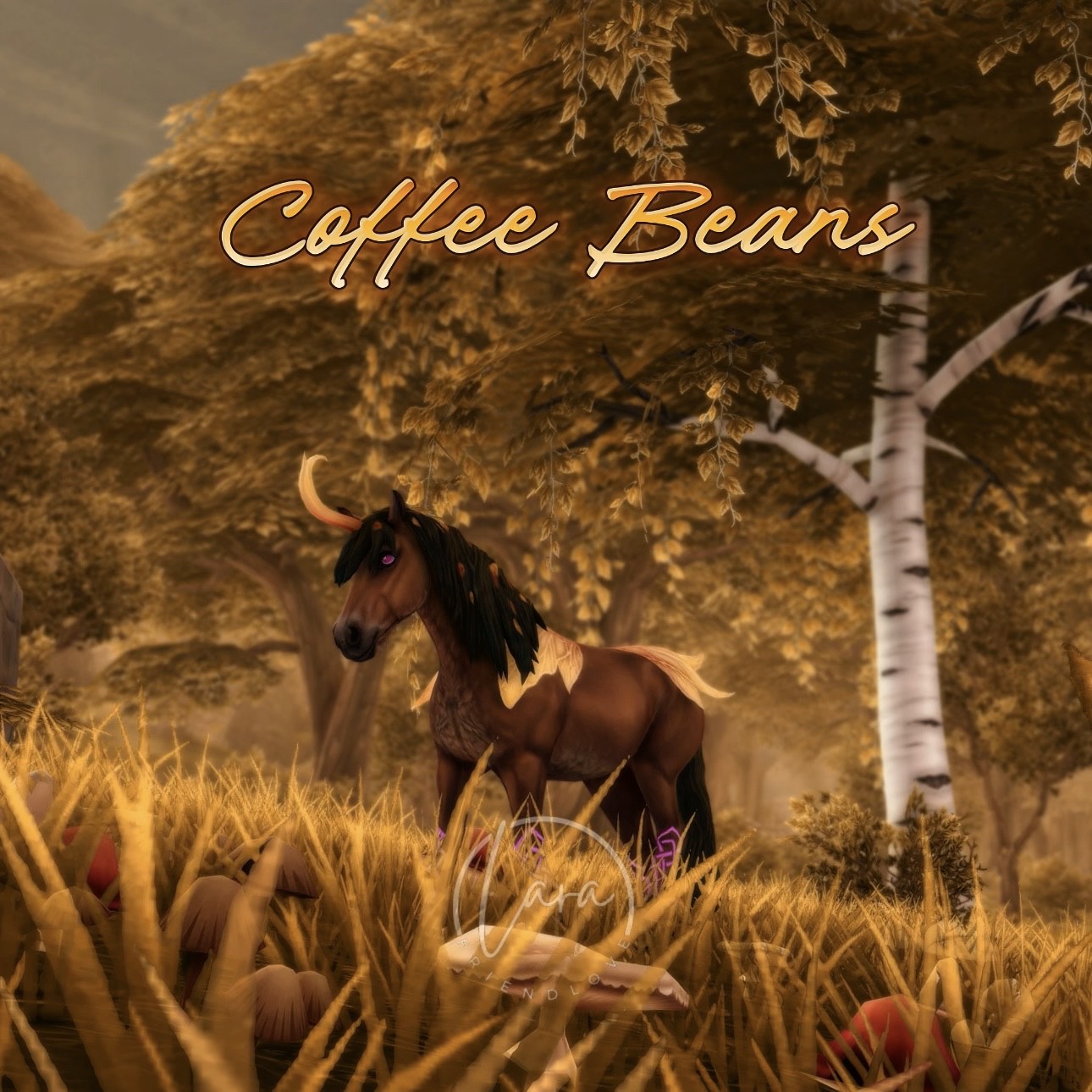 Coffee Beans