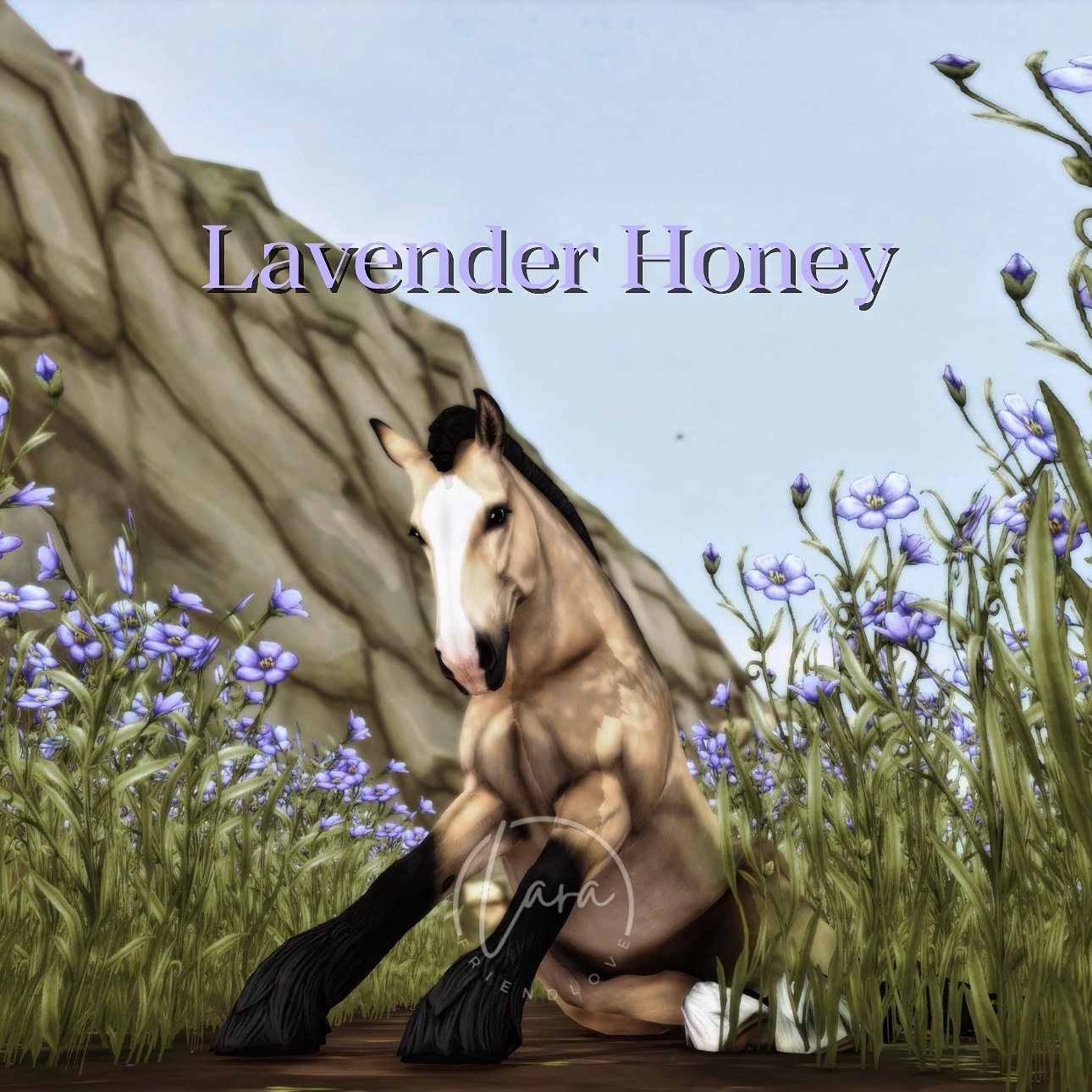 Lavender Honey