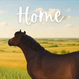 Home – By cass