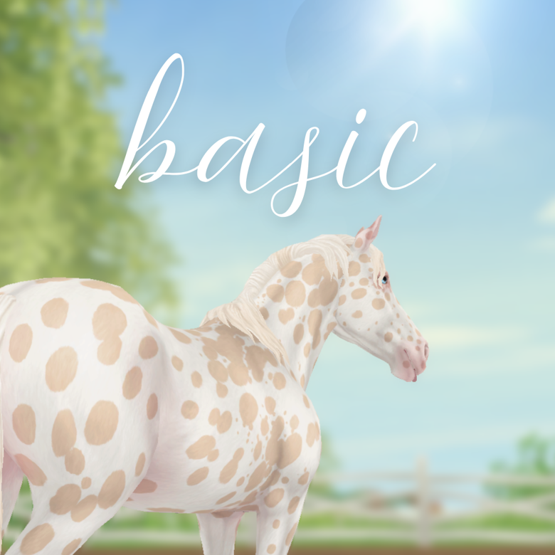 Basic – By cass