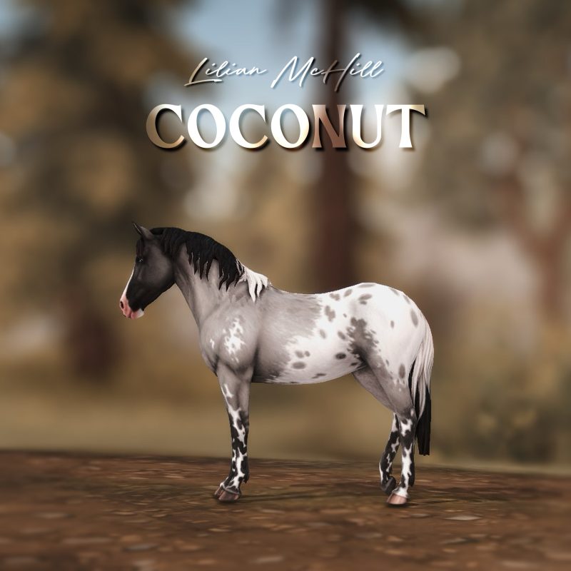 Coconut