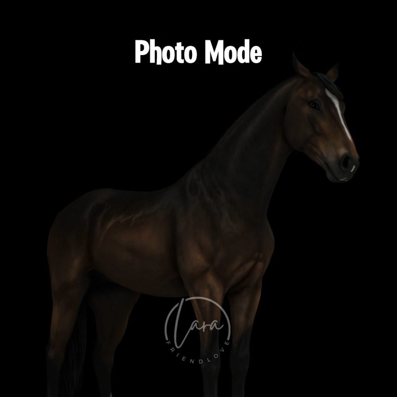 Photo Mode