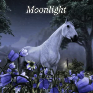 Moonlight
