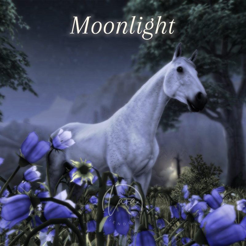 Moonlight