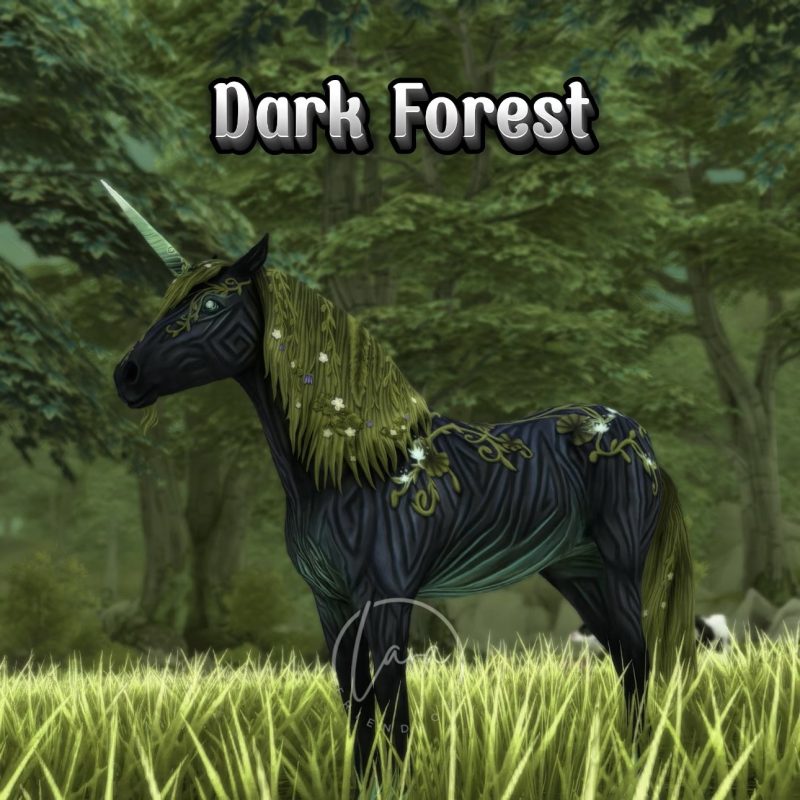 Dark Forest