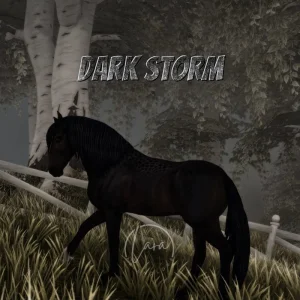 Dark Storm