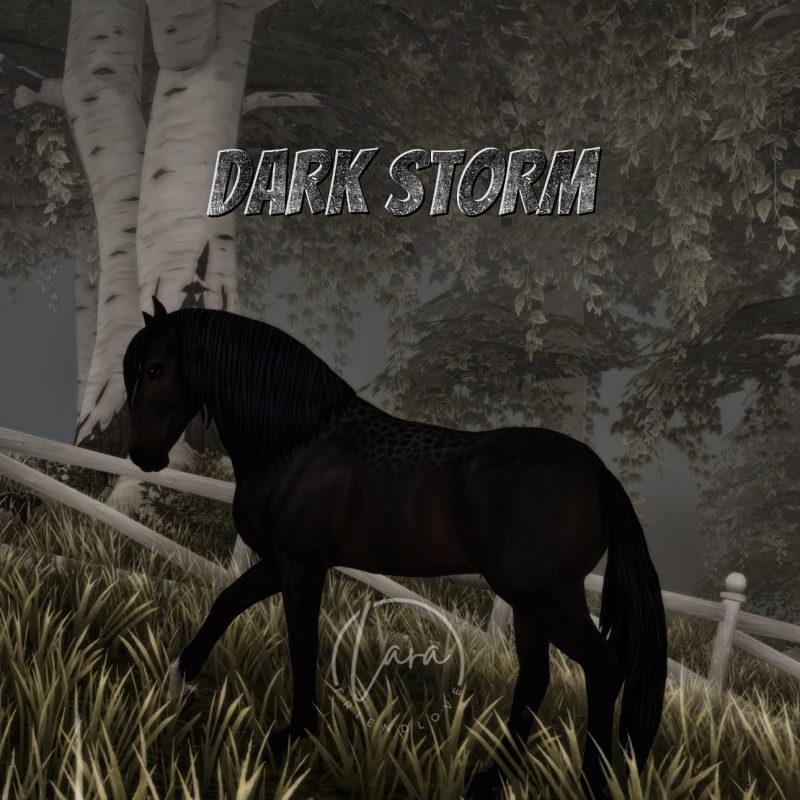 Dark Storm