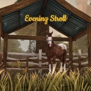 Evening Stroll
