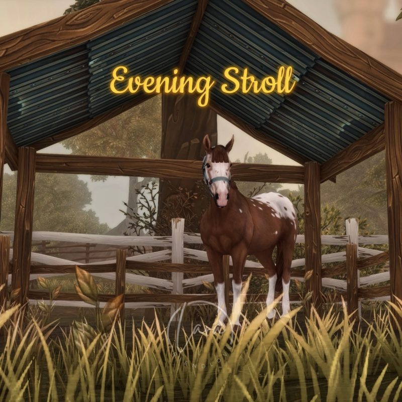 Evening Stroll
