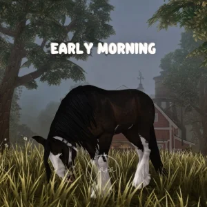 Early Morning