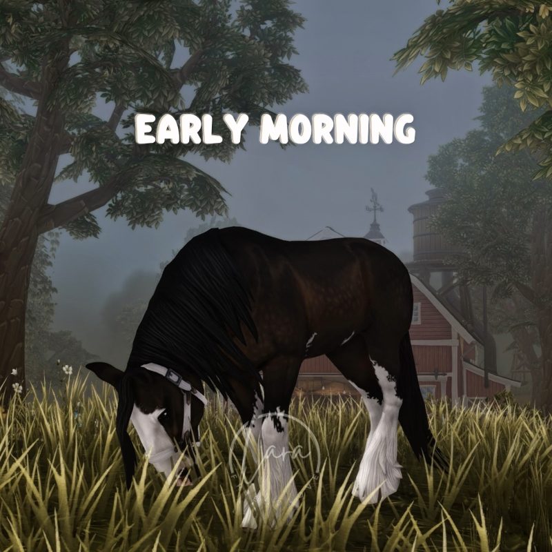 Early Morning