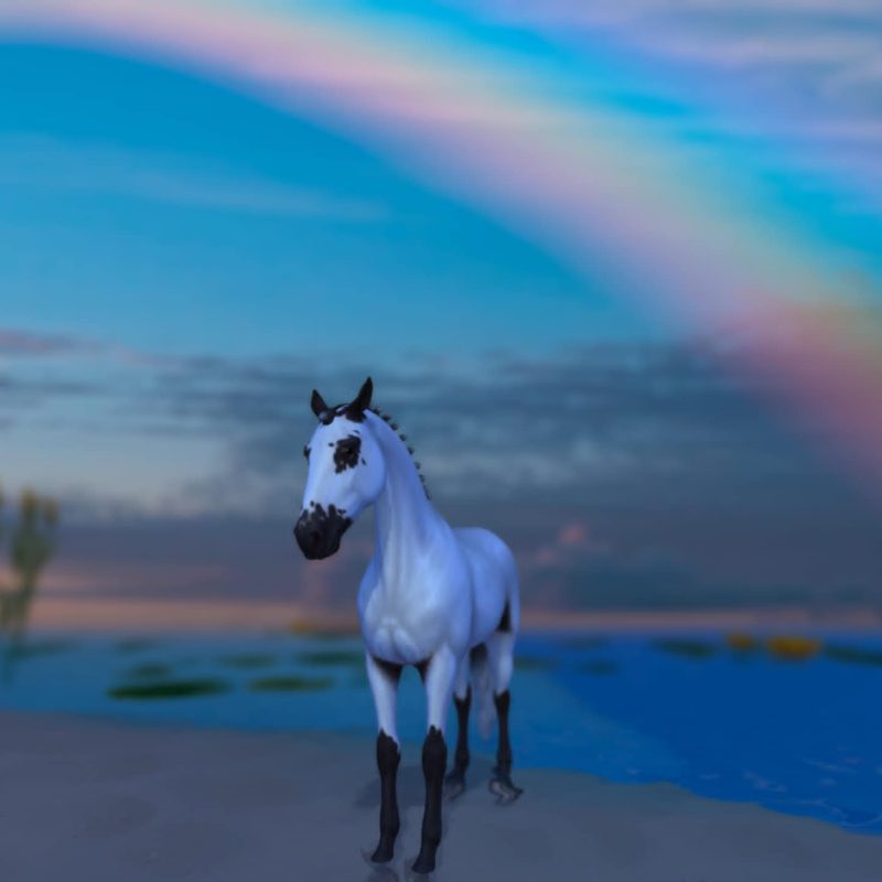 Rainbow festive