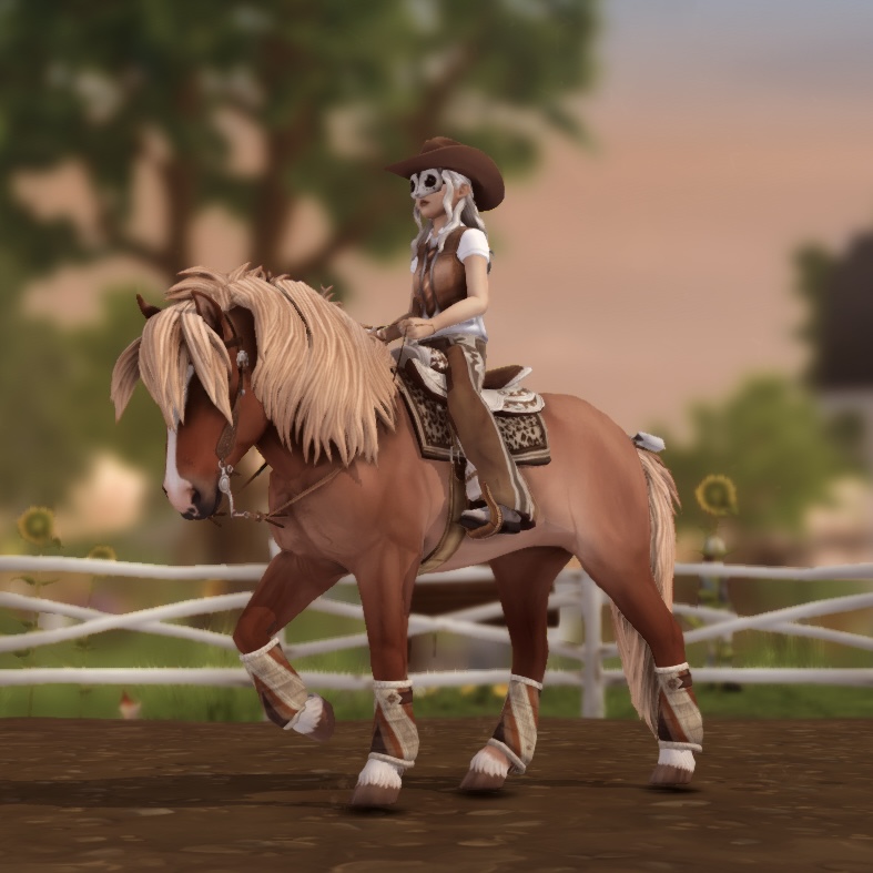 Western Sunset