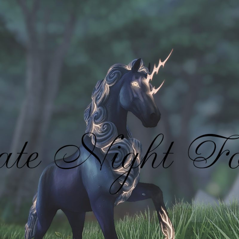 Late Night Forest