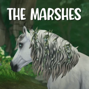 The Marshes