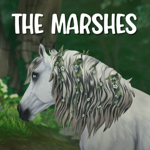 The Marshes