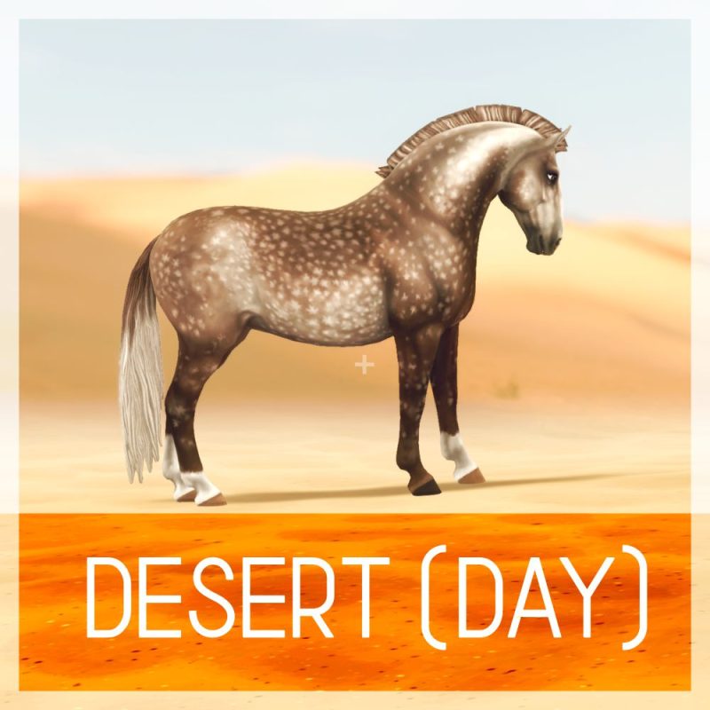 DESERT (DAY)