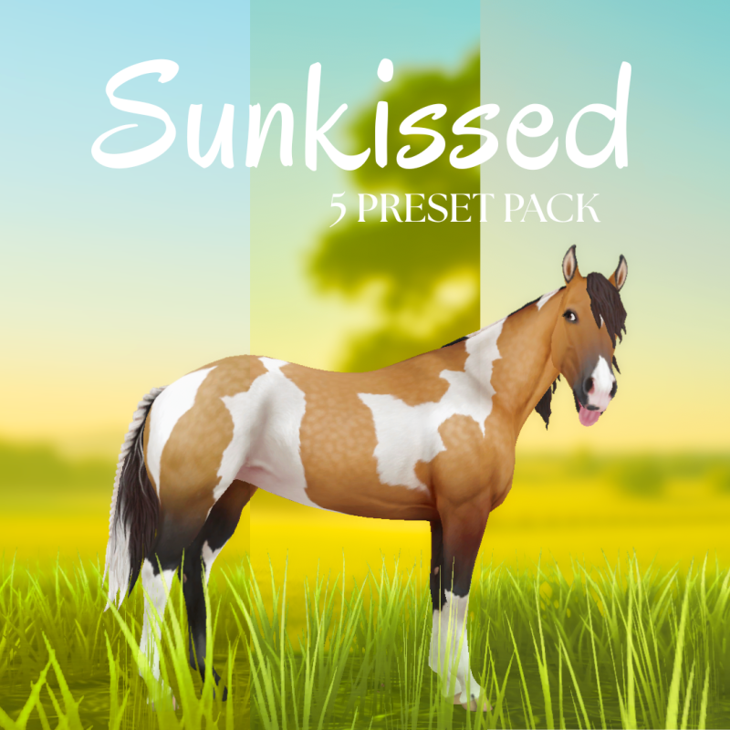 Sunkissed – By Cass