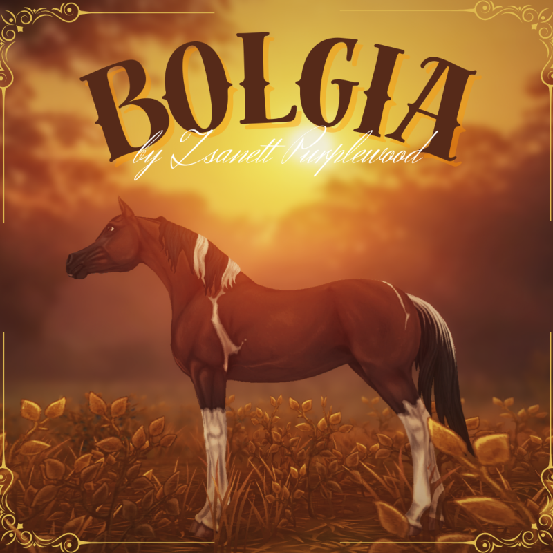 Bolgia