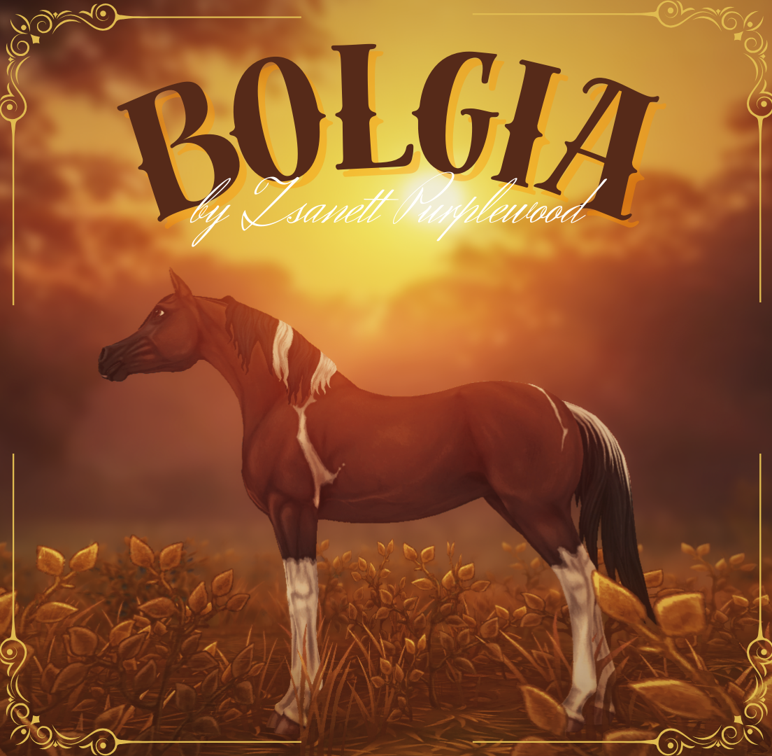 Bolgia