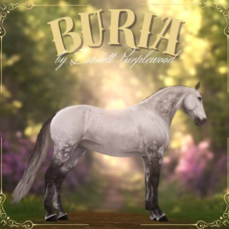 Buria