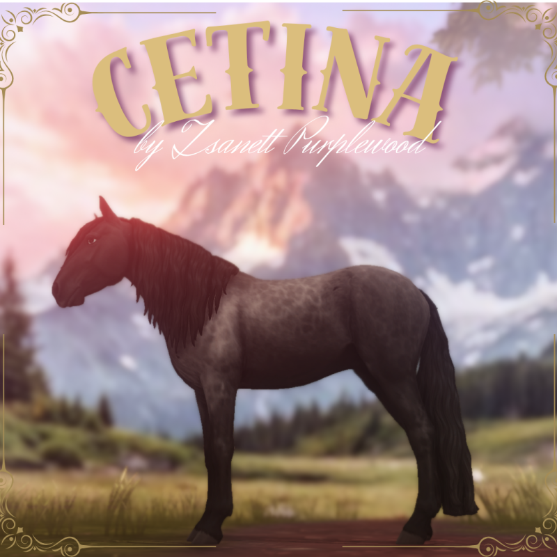 Cetina