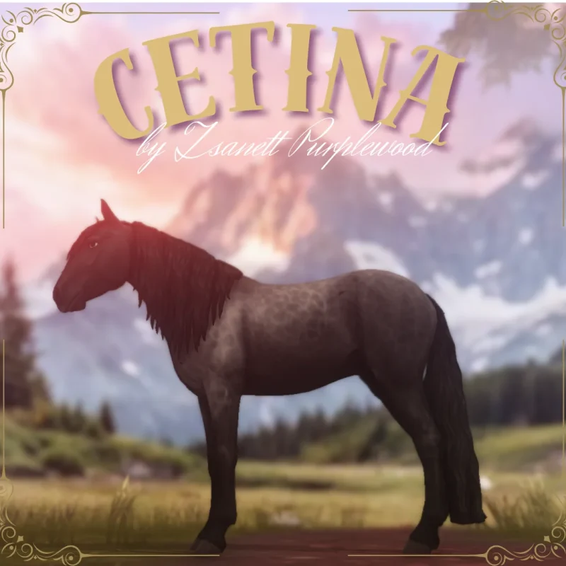 Cetina