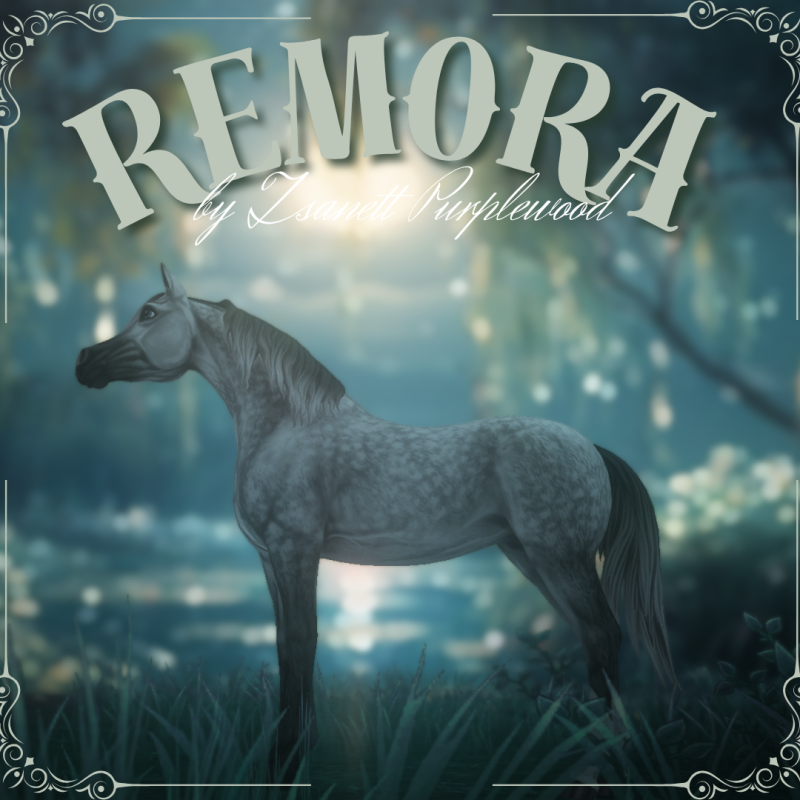 Remora