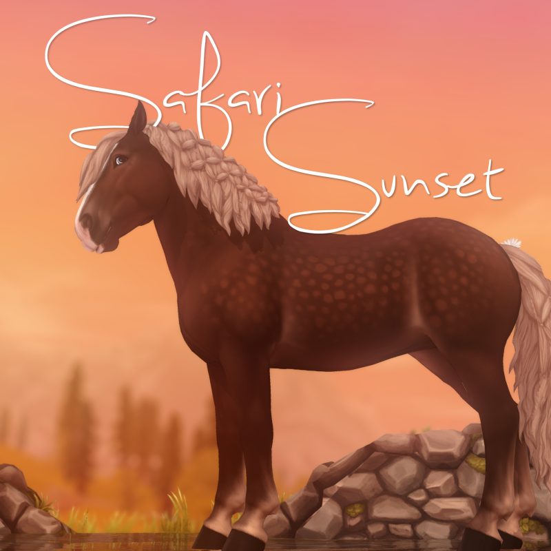 Safari Sunset