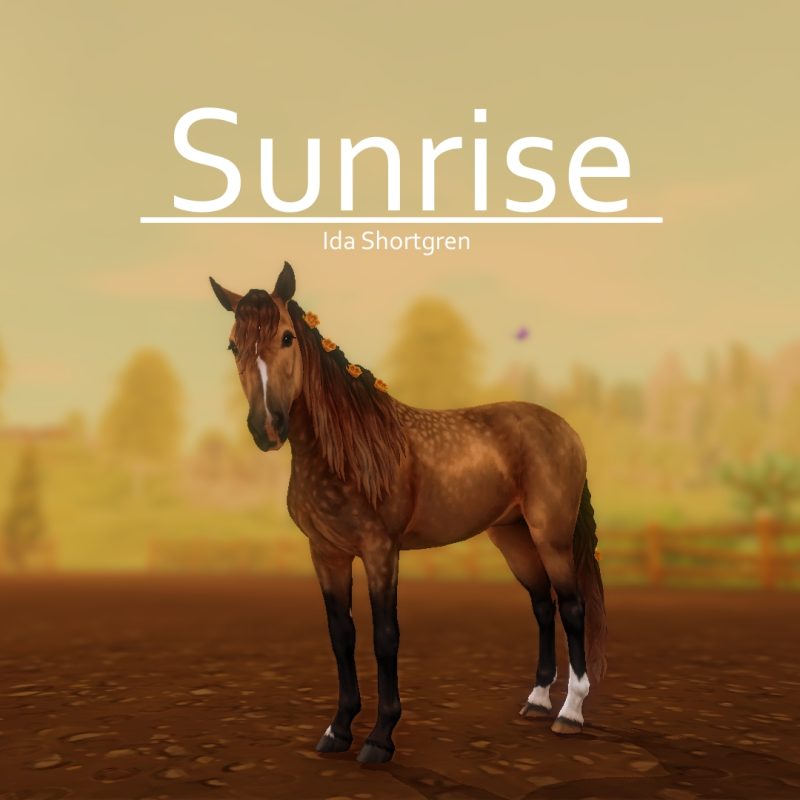 Sunrise