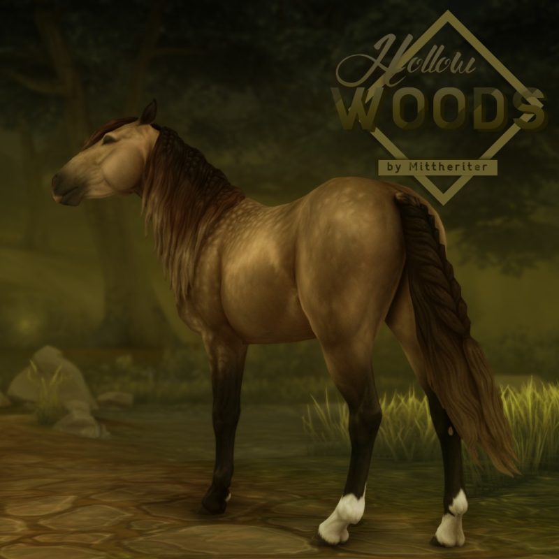 Hollow Woods