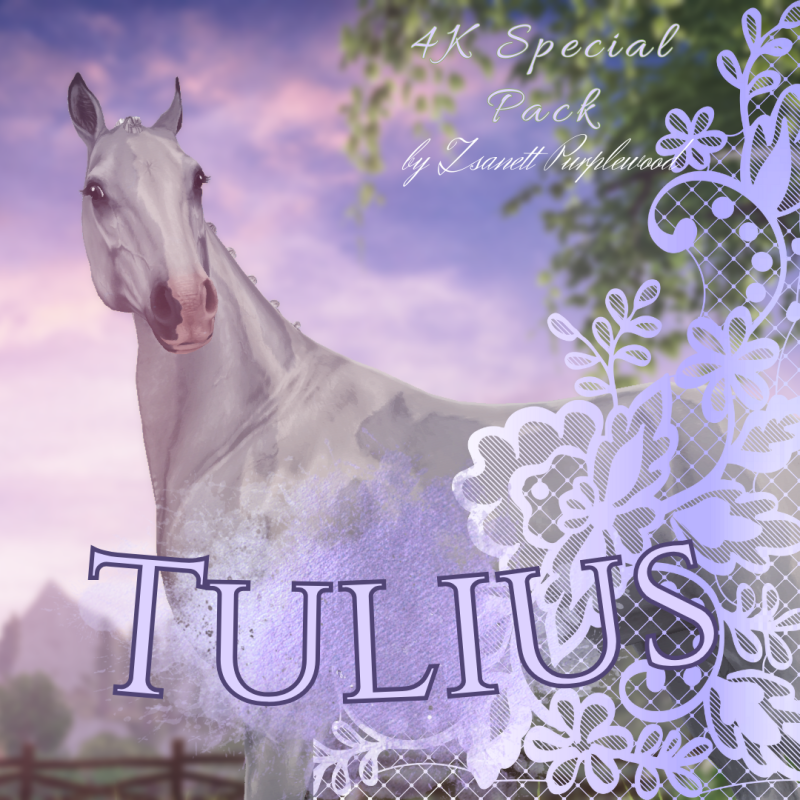 Tulius | 4k Special Pack