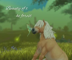 Beauty of The Forest