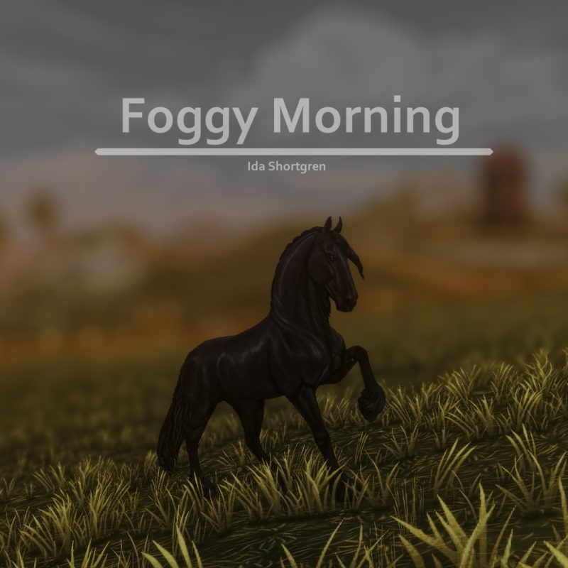 Foggy Morning